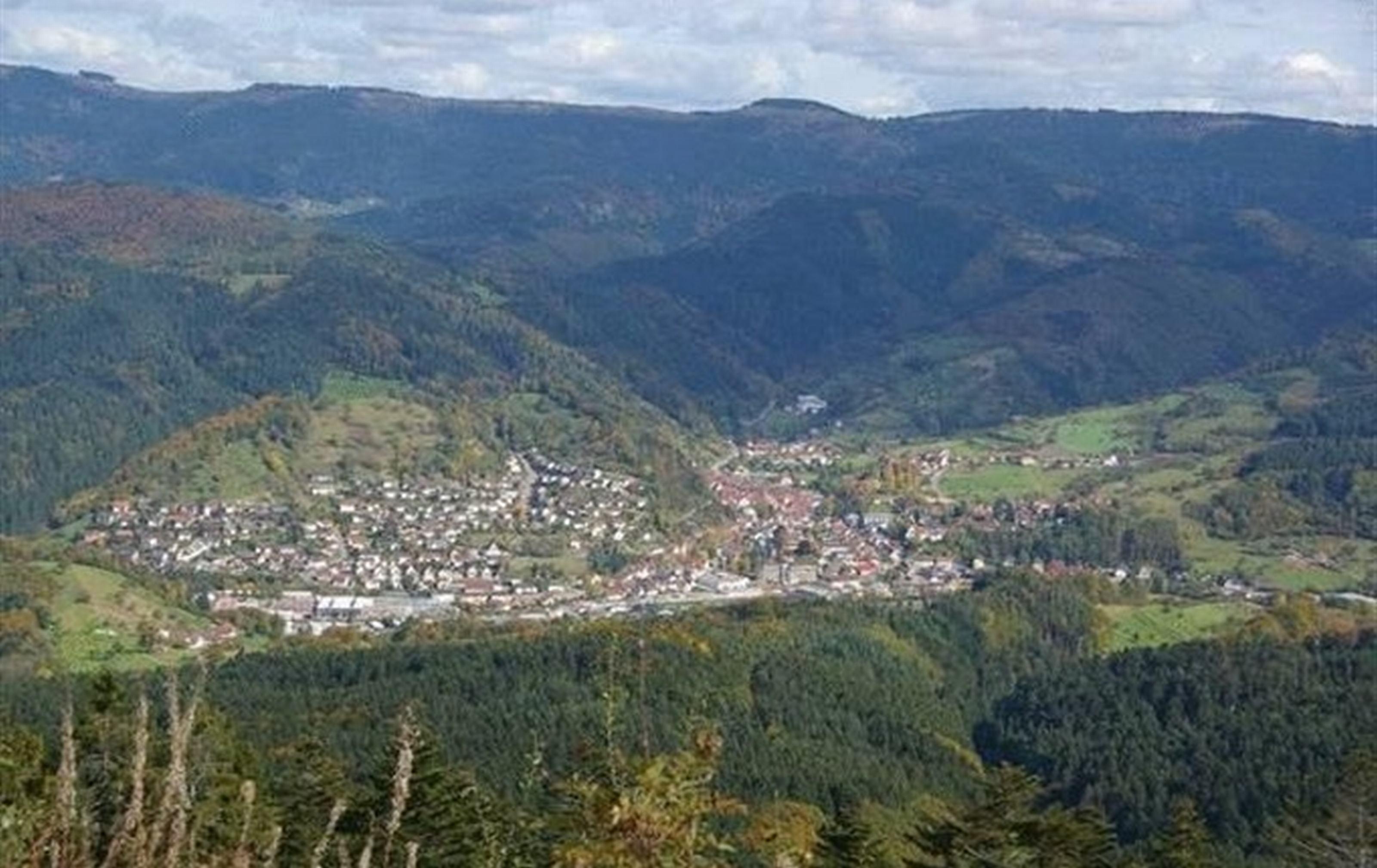 Gasthaus Finken Oppenau Exteriör bild
